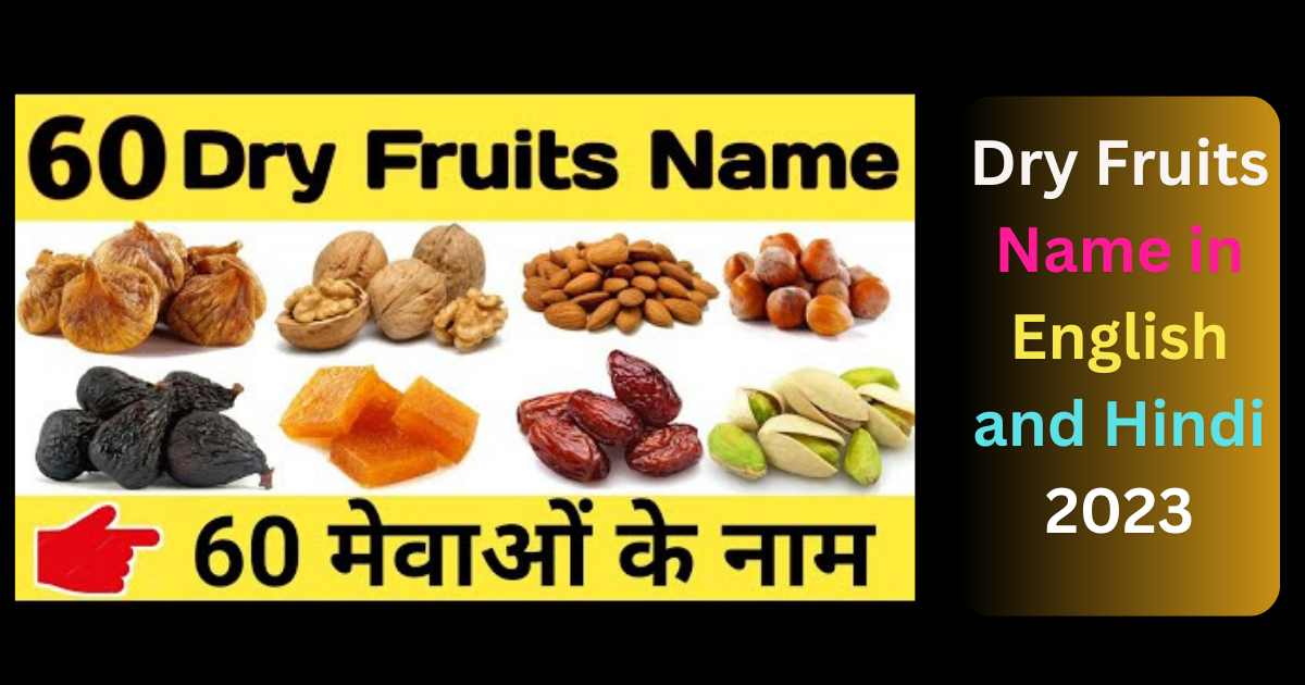 Dry Fruits | Dry Fruits Name in English and Hindi 2023